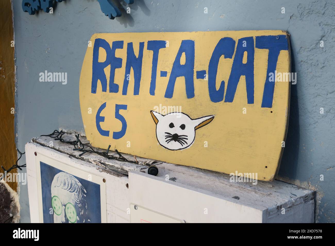 Streunende Katzen Griechenlands auf den Straßen. Stockfoto