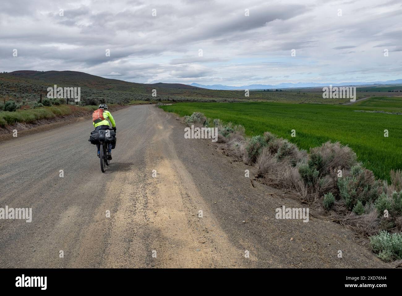 WA24892-00....... WASHINGTON – Vicky Spring Radfahren auf der Rock Island Grade Road. Teil der Cross Washington Mountain Bike Route. MR#S1 Stockfoto