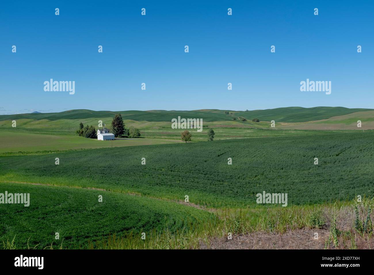 WA24921-00....WASHINGTON - Farm in der Nähe von Lone Pine entlang des Palouse zum Cascades Trail State Park westlich von Tekoa. Stockfoto
