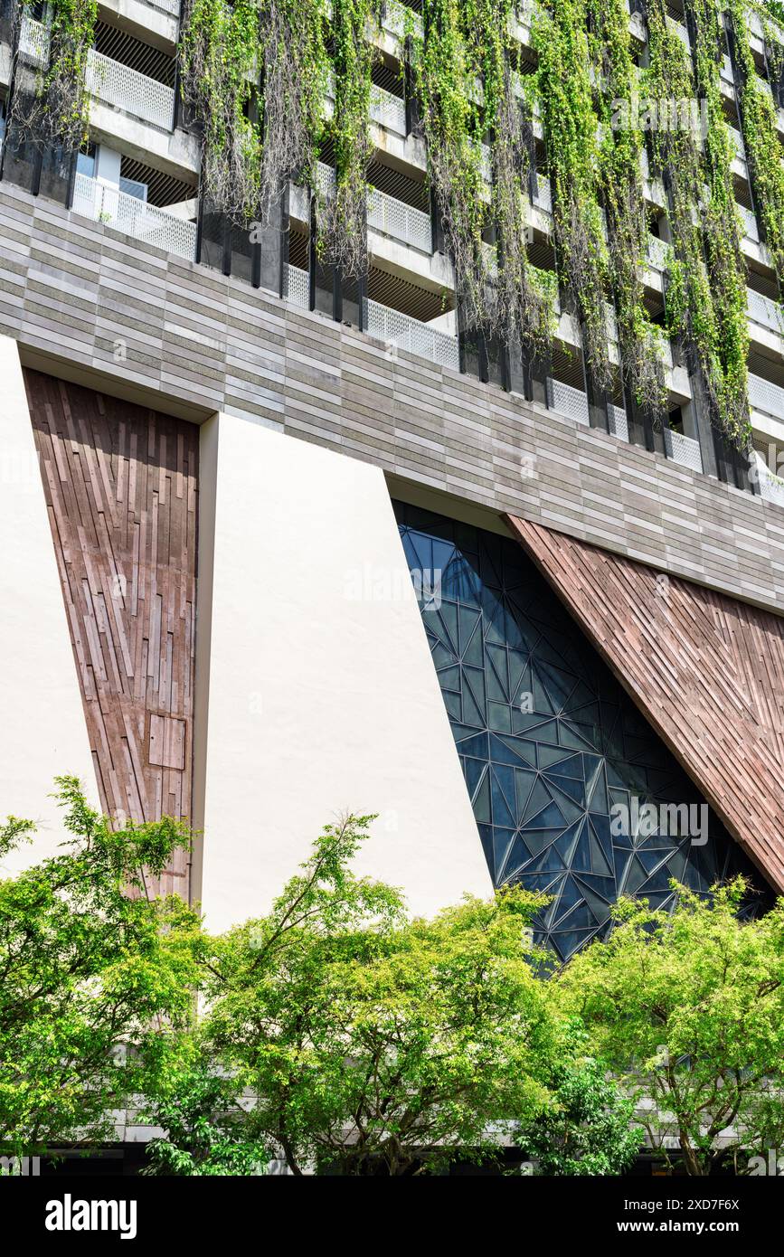 Malerische grüne Fassade des Gebäudes in Singapur. Wundervolle städtische vertikale Gartenarbeit, umweltfreundliches Design. Schöne Pflanzen, die an der Wand wachsen. Stockfoto