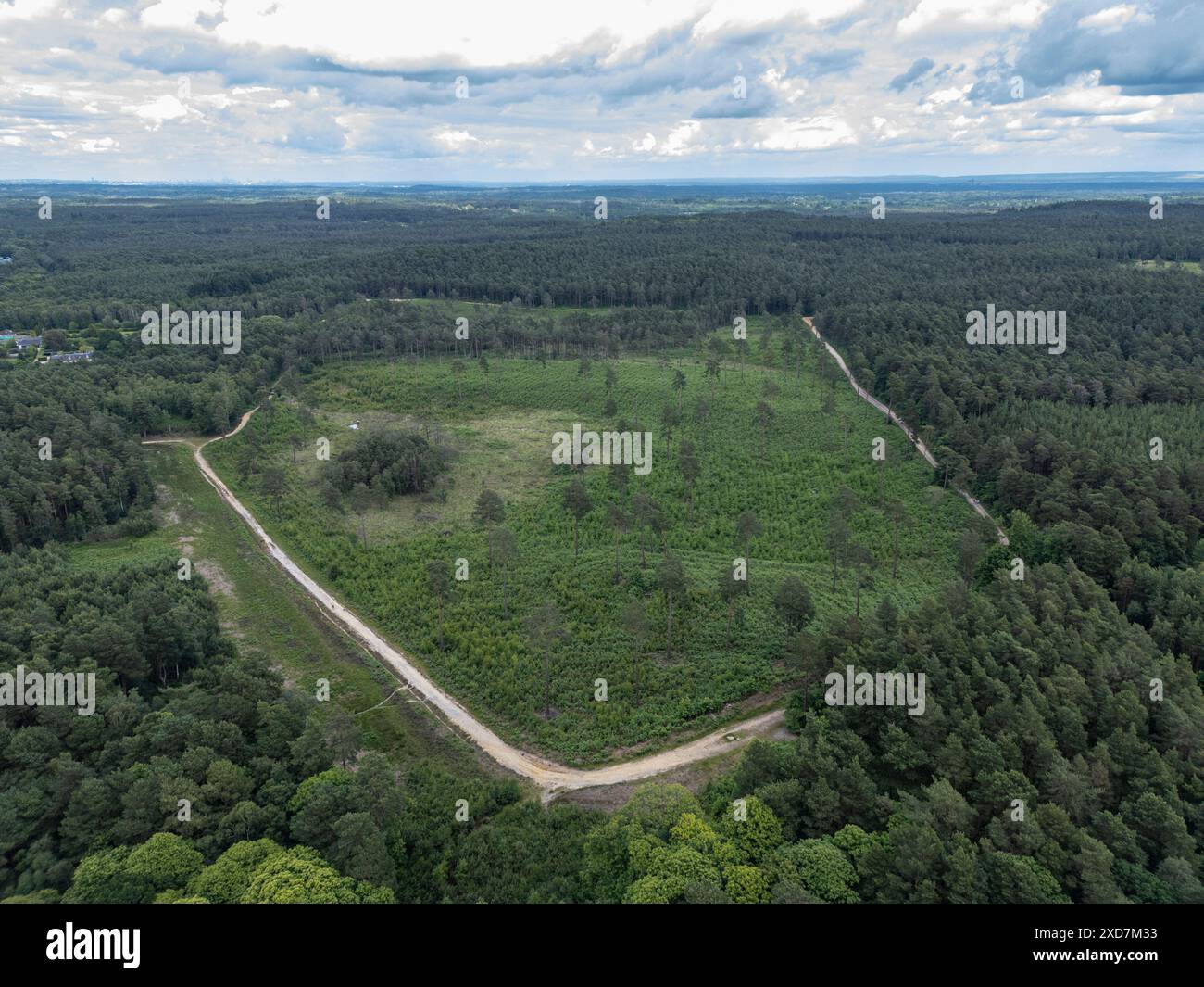 Allgemeine Luftaufnahme des Swinley Forest bei Bracknell, Berkshire, Großbritannien. Stockfoto