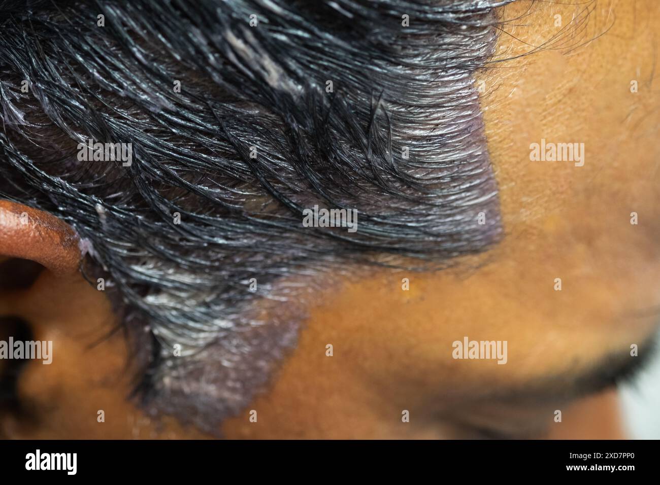 Haarfarbe für Männer zu Hause. Ein Mann, der schwarze Haarfarbe aufträgt. Färbung Mann graue Haare in einem Salon. Natürliche Haarfärbung. Nahaufnahme, selektiver Fokus. Stockfoto