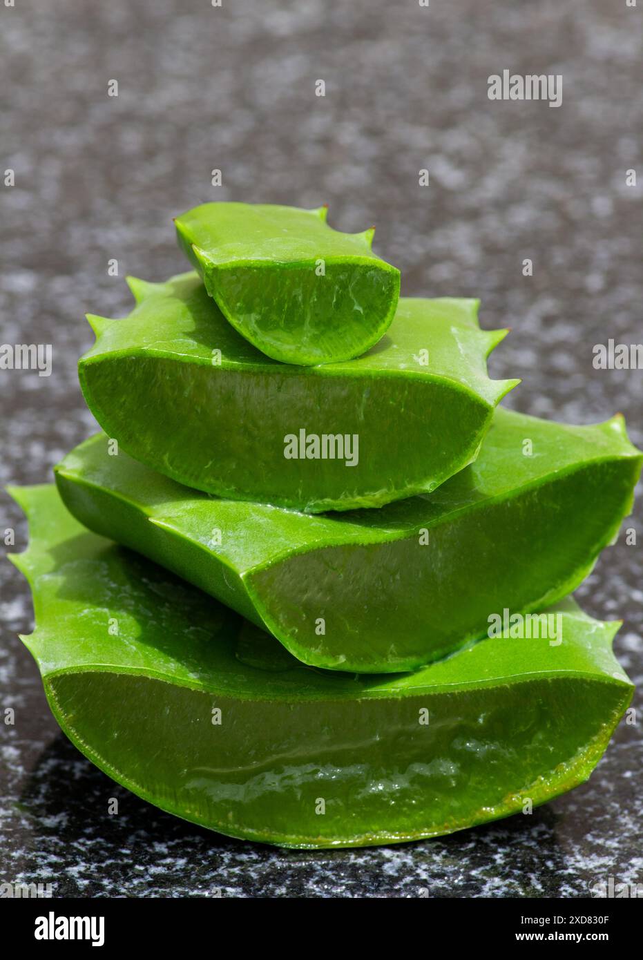 Nahaufnahme von geschnittener und gestapelter Aloe Vera. Stockfoto