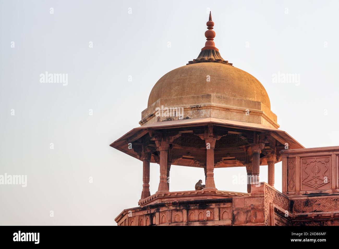 Malerischer Blick auf den achteckigen Turm aus rotem Sandstein mit Kuppel im Agra Fort, Indien. Der Affe ist im Turm sichtbar. Fantastische Mogul-Architektur. Stockfoto