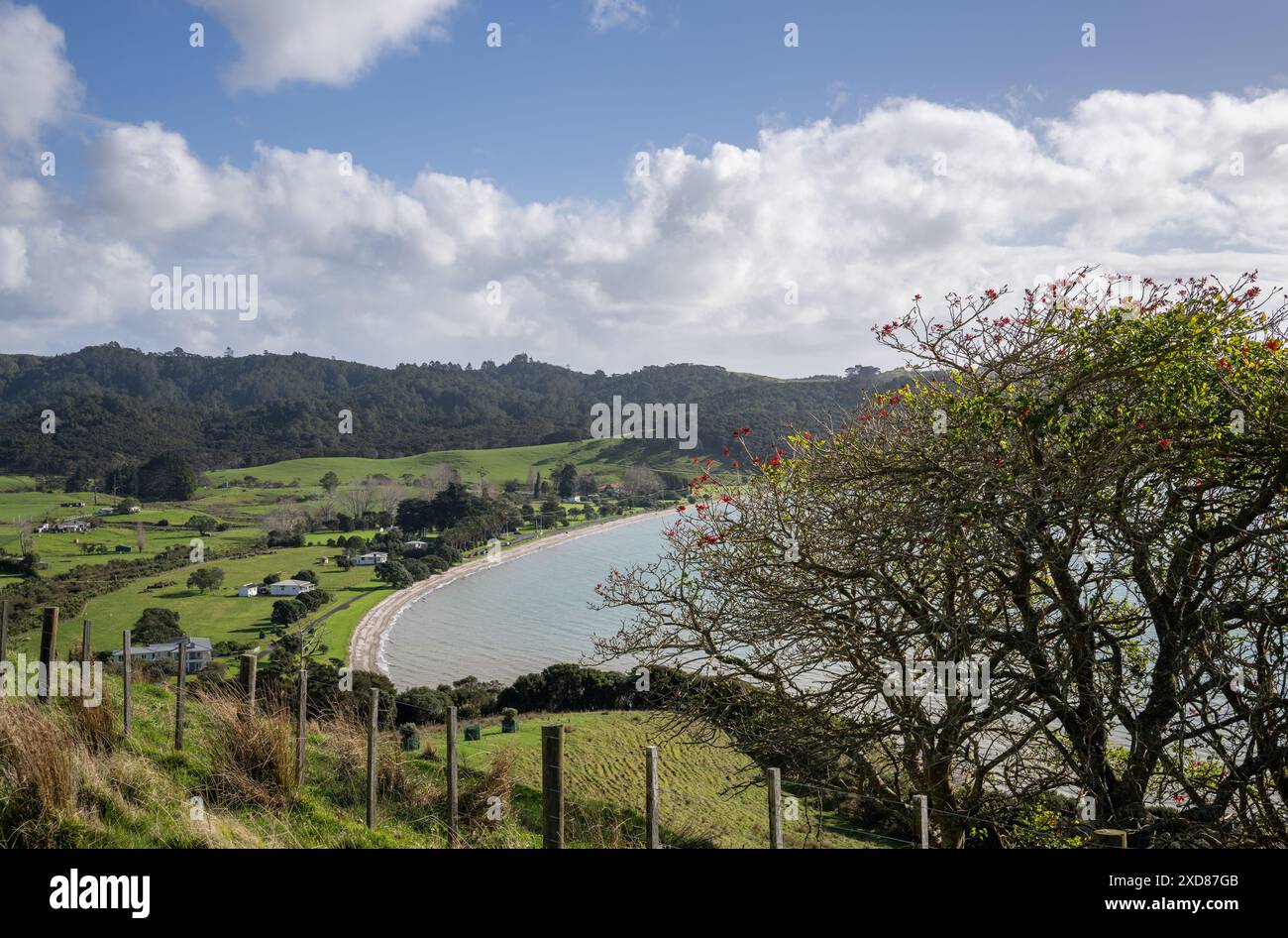 Duder Regional Park. Auckland. Neuseeland. Stockfoto