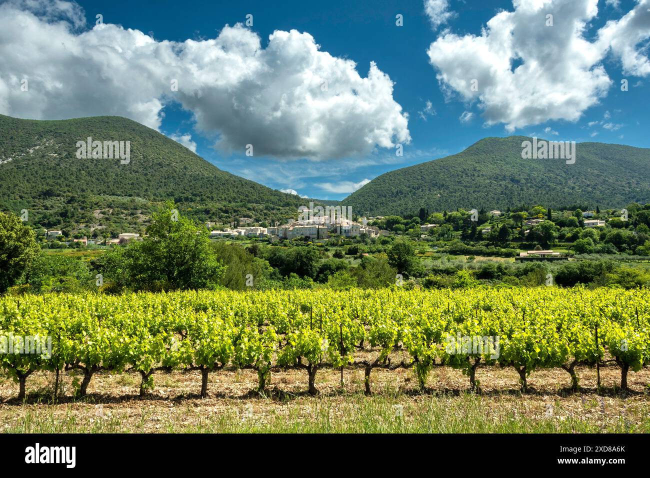 Das Dorf Venterol in der Nähe von Nyons und seine Weinberge in Drôme provenzalisch. Drôme. Auvergne-Rhone-Alpes. Frankreich Stockfoto