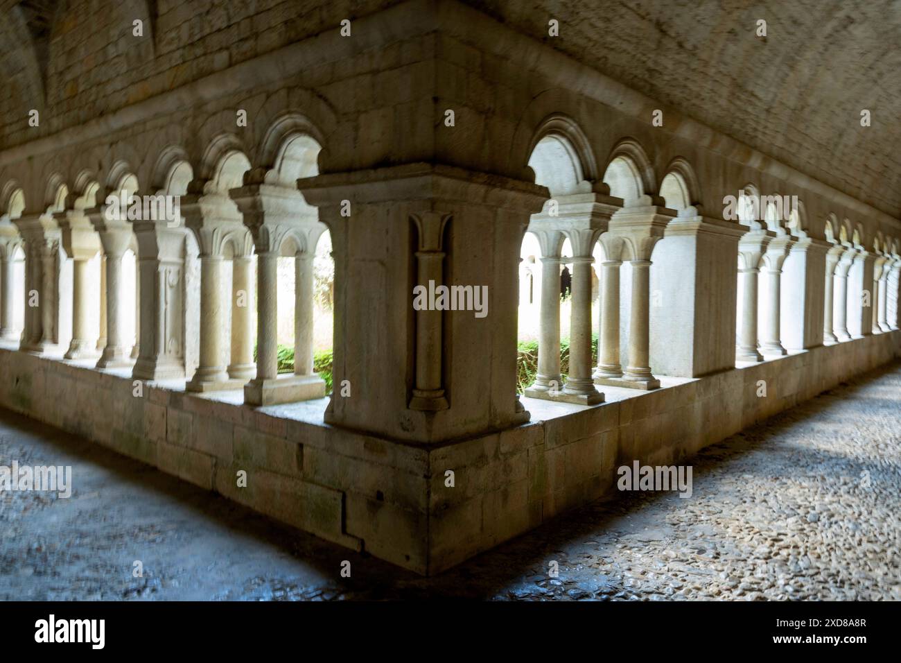 Vaison-la-Romaine. Kreuzgang der Kathedrale Notre-Dame de Nazareth. Vaucluse. Provence-Alpes-Côte d'Azur. Frankreich Stockfoto