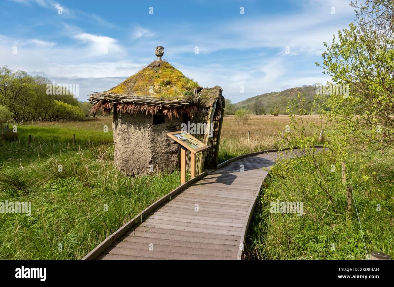 Nachbildung eines keltischen Schutzgebiets Dubwath Silver Meadows Naturschutzgebiet Feuchtgebiete im Frühling Lake District Nationalpark Cumbria England Großbritannien Stockfoto