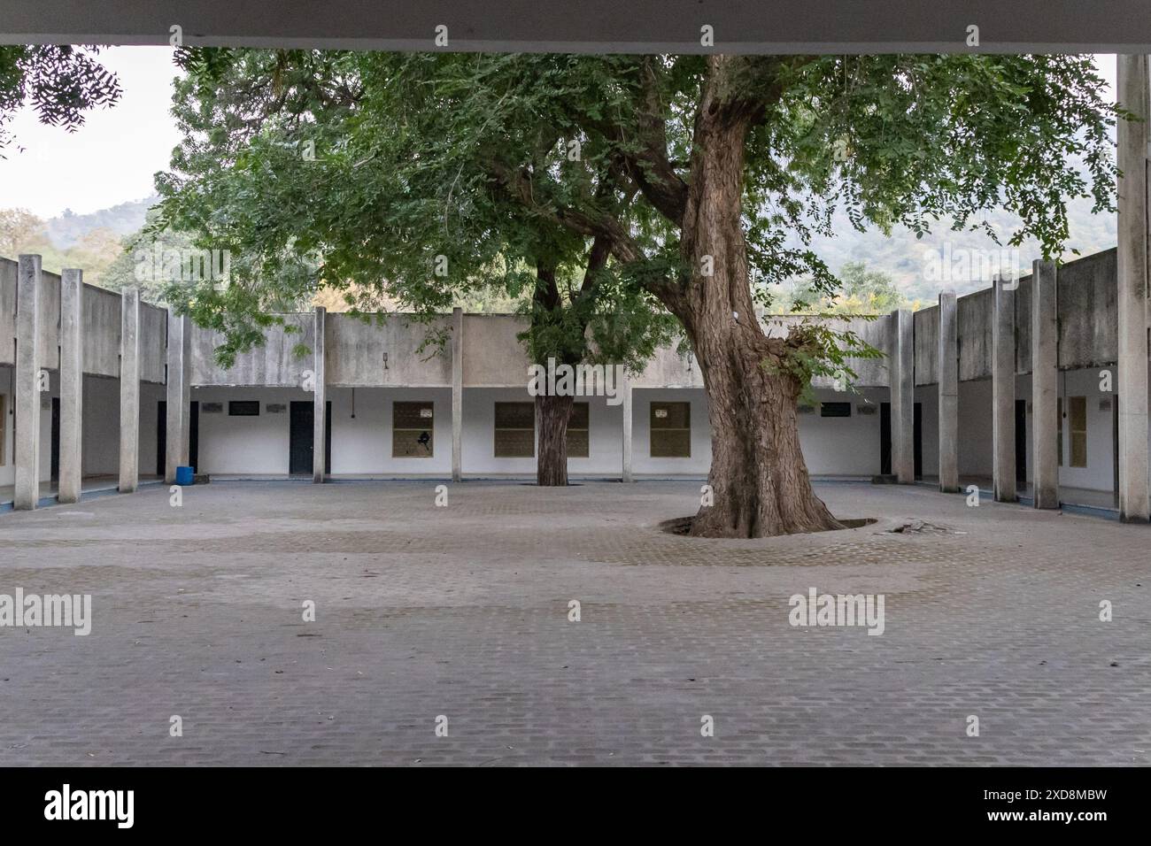 Isoliertes leeres Gebäude mit großem Baum in der Mitte am Tag aus flachem Winkel Stockfoto