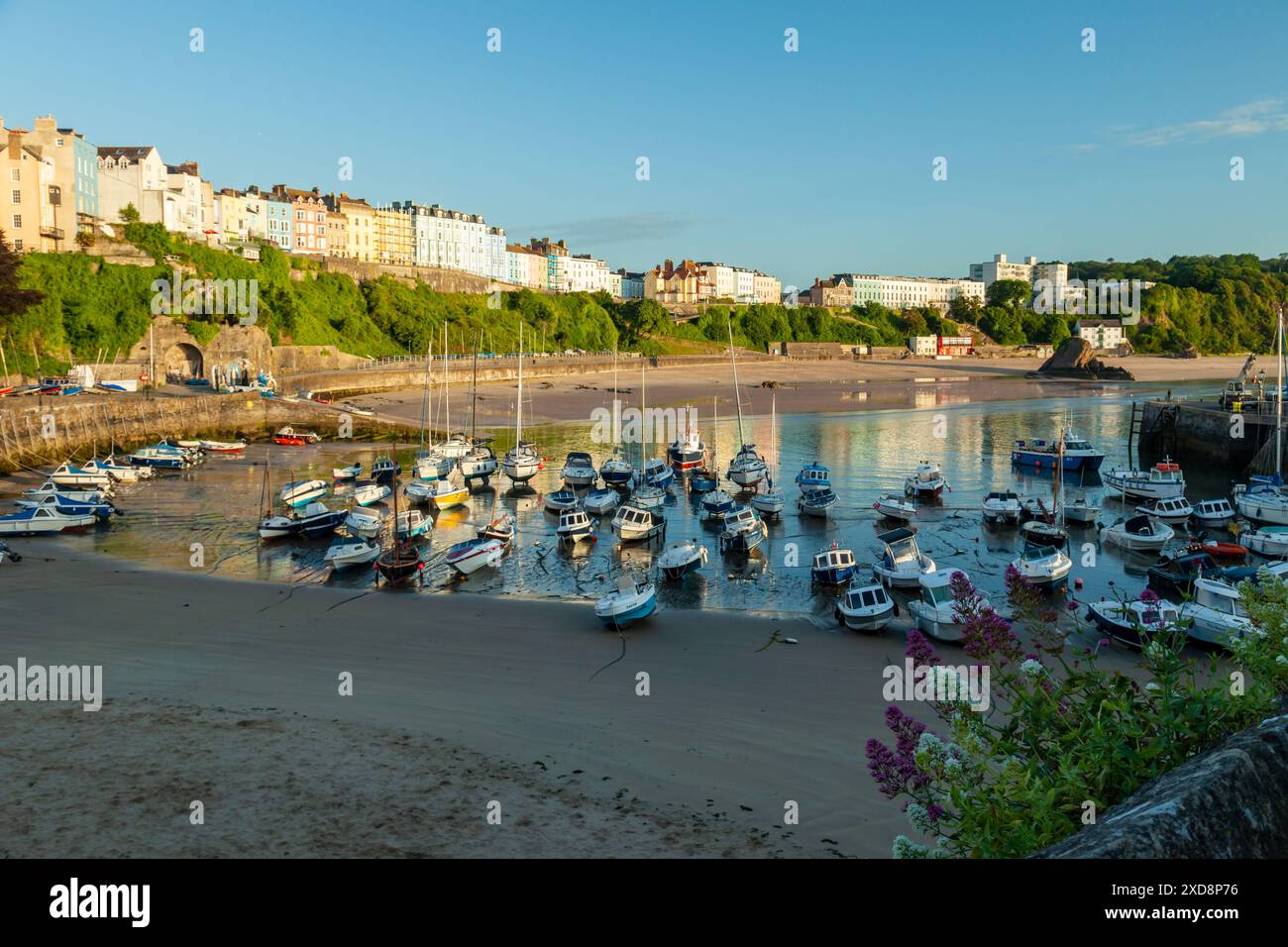 Sommermorgen in Tenby Harbour, Wales. Stockfoto