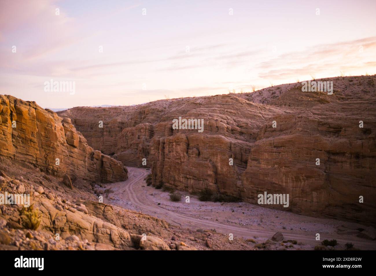 Wüstenschlucht in rosa Abenddämmerung Stockfoto