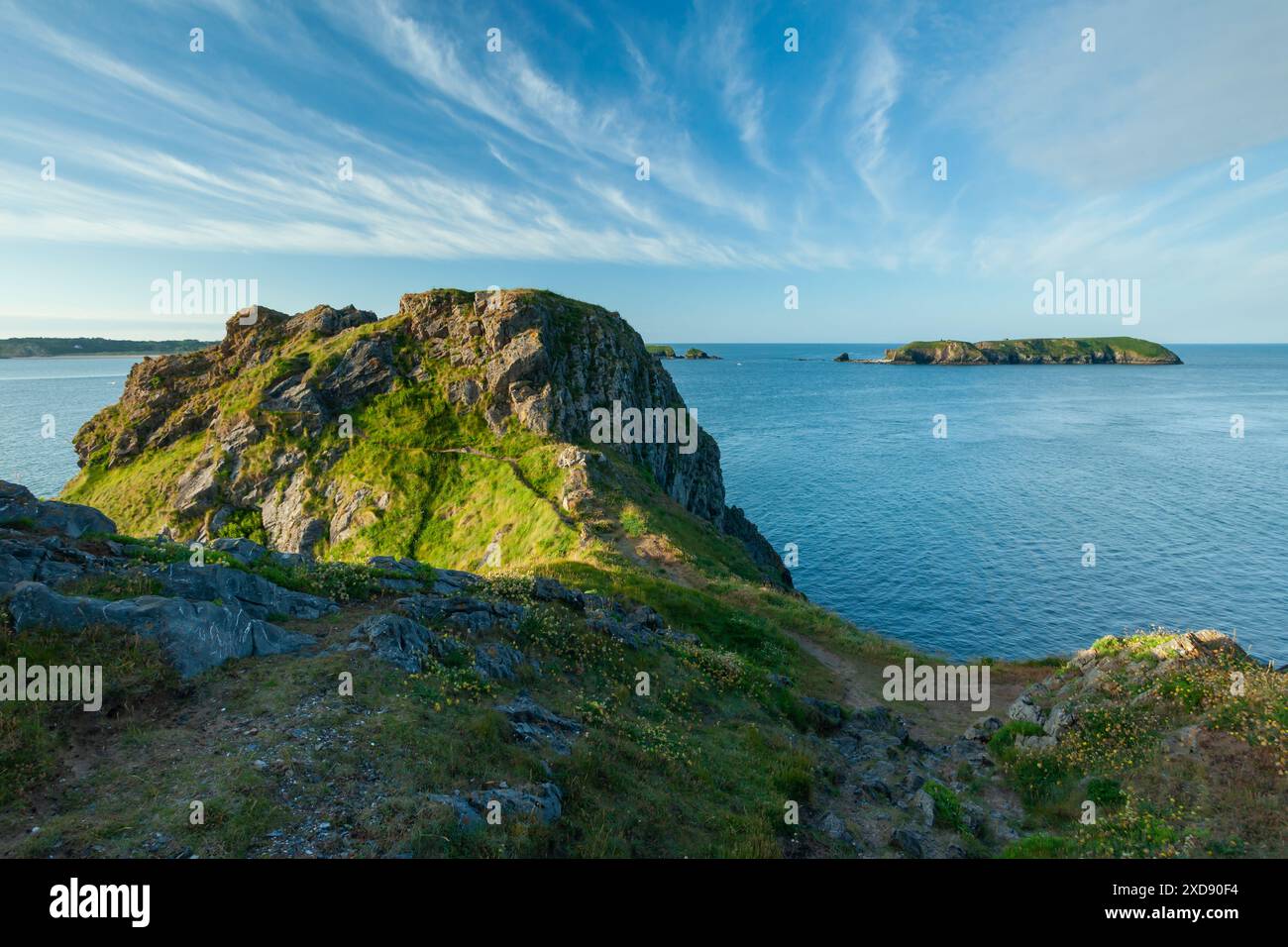 Sommermorgen am Giltar Point in der Nähe von Penally, Pembrokeshire, Wales. Stockfoto