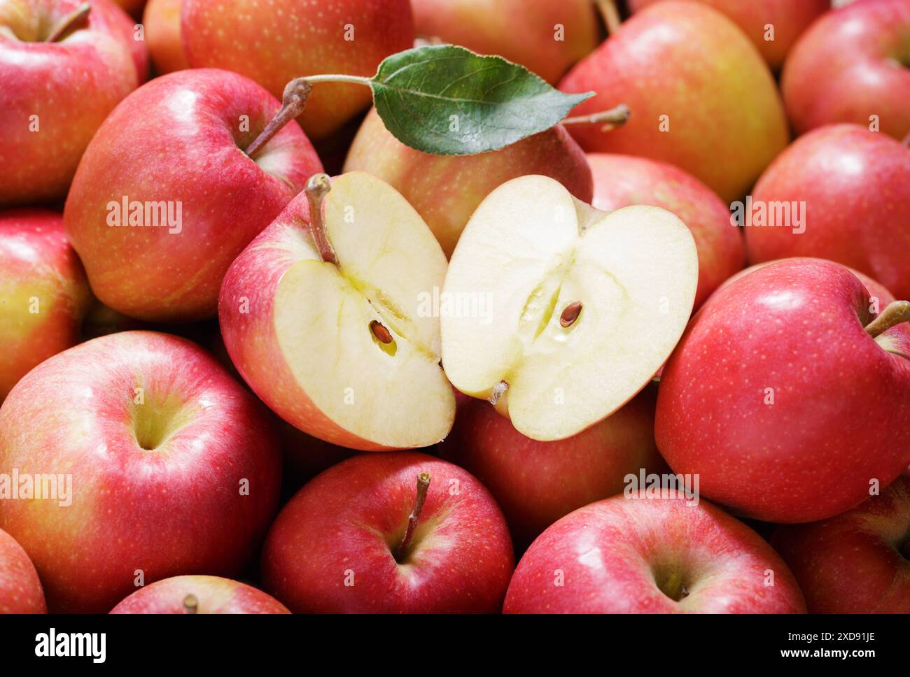 Frische rote Äpfel als Hintergrund, Draufsicht Stockfoto