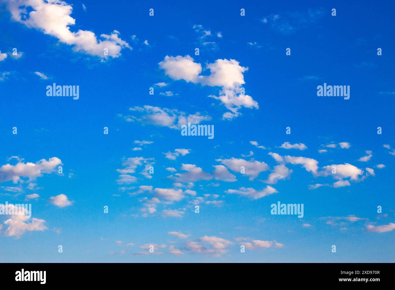 Weiße Cumulus-Wolken am blauen Himmel. Wunderbarer Naturhintergrund mit frischer Klimaanlage im Morgenlicht. Helle Wettervorhersage. Klare Atmosphäre Stockfoto