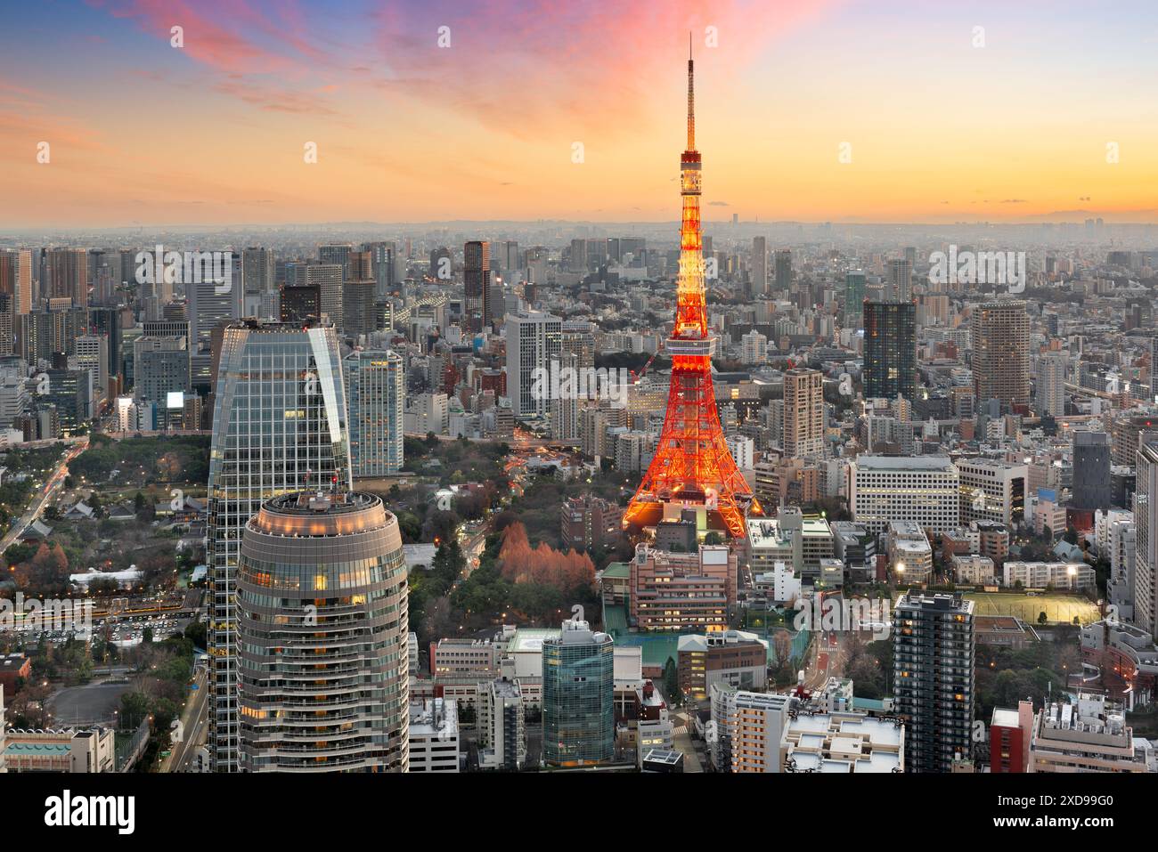 Tokio, Japan mit dem Turm in der Abenddämmerung von Toranomon. Stockfoto