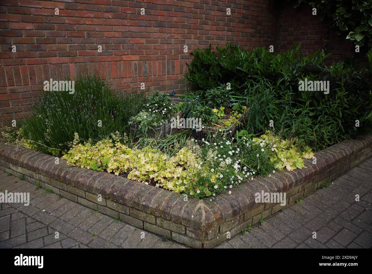 Umfunktionierter Supermarkt-Einkaufswagen in Garden Banstead Village Surrey England zu Blumentöpfen Stockfoto
