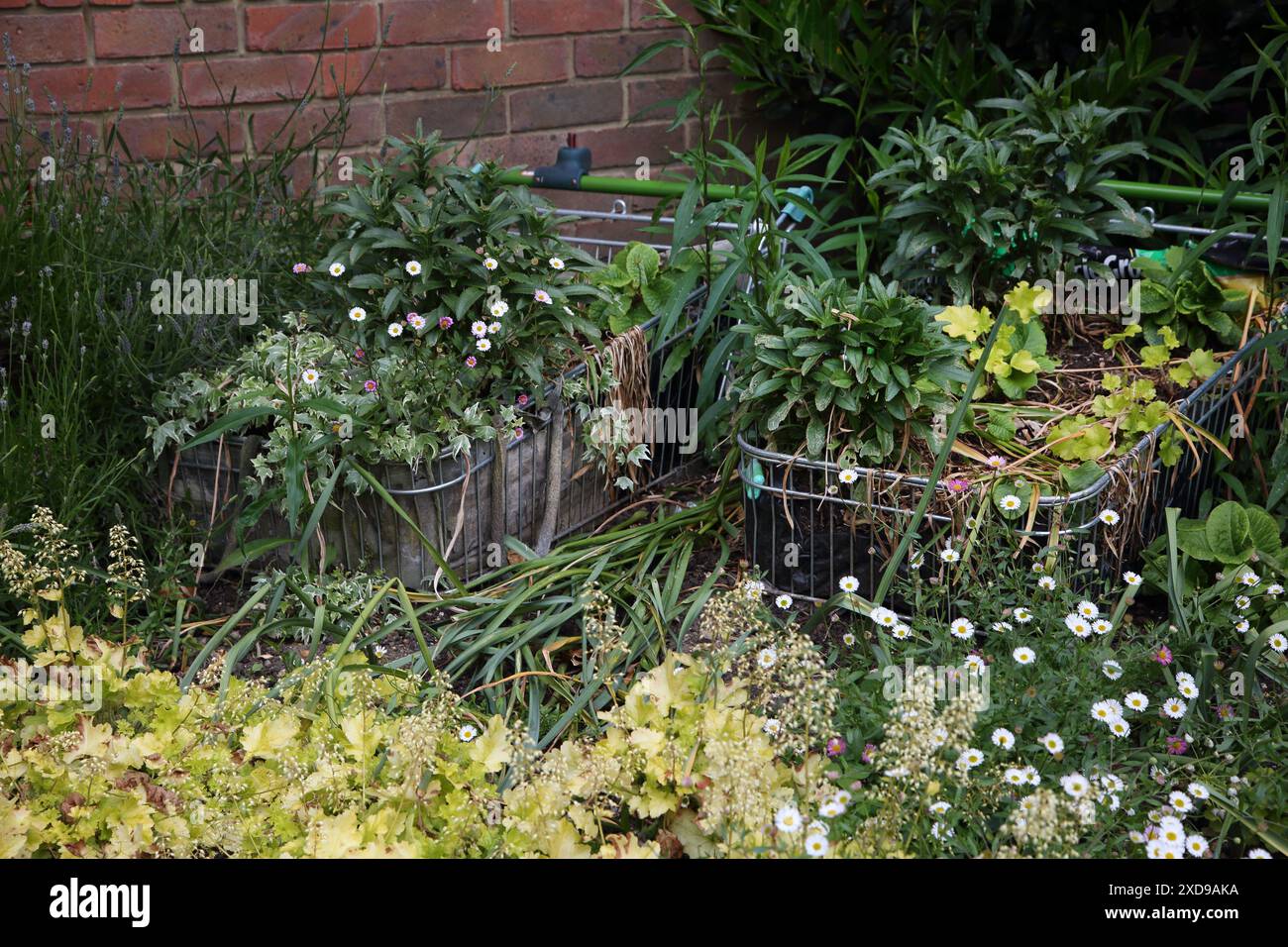 Umfunktionierter Supermarkt-Einkaufswagen in Garden Banstead Village Surrey England zu Blumentöpfen Stockfoto