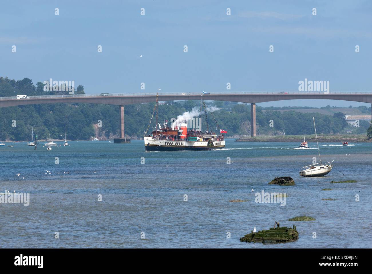Waverleys Grand Rückkehr nach Bideford. Sie kündigte ihre Ankunft am Fluss Torridge und Bideford heute zum ersten Mal seit 40 Jahren an Stockfoto