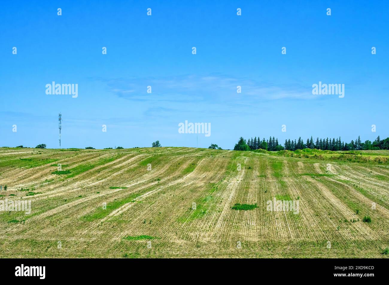 Farmland in Ontario, Kanada Stockfoto