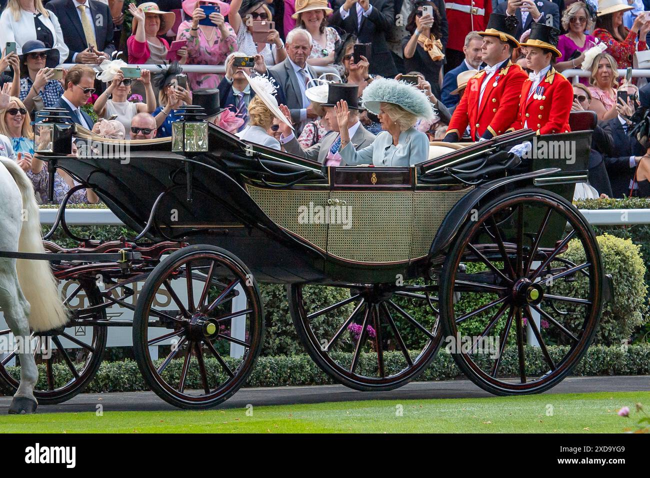 Ascot, Berkshire. Juni 2024. Der König und die Königin Camilla kommen auf der Ascot Racecourse in Berkshire in der königlichen Prozession an Tag vier der Royal AscotCredit: Maureen McLean/Alamy Live News Stockfoto