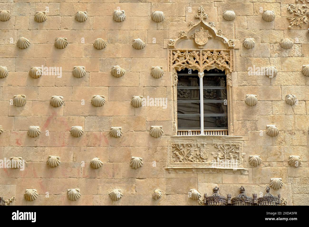 Das Haus der Muscheln - Casa de las Conchas - in Salamanca, Spanien Stockfoto