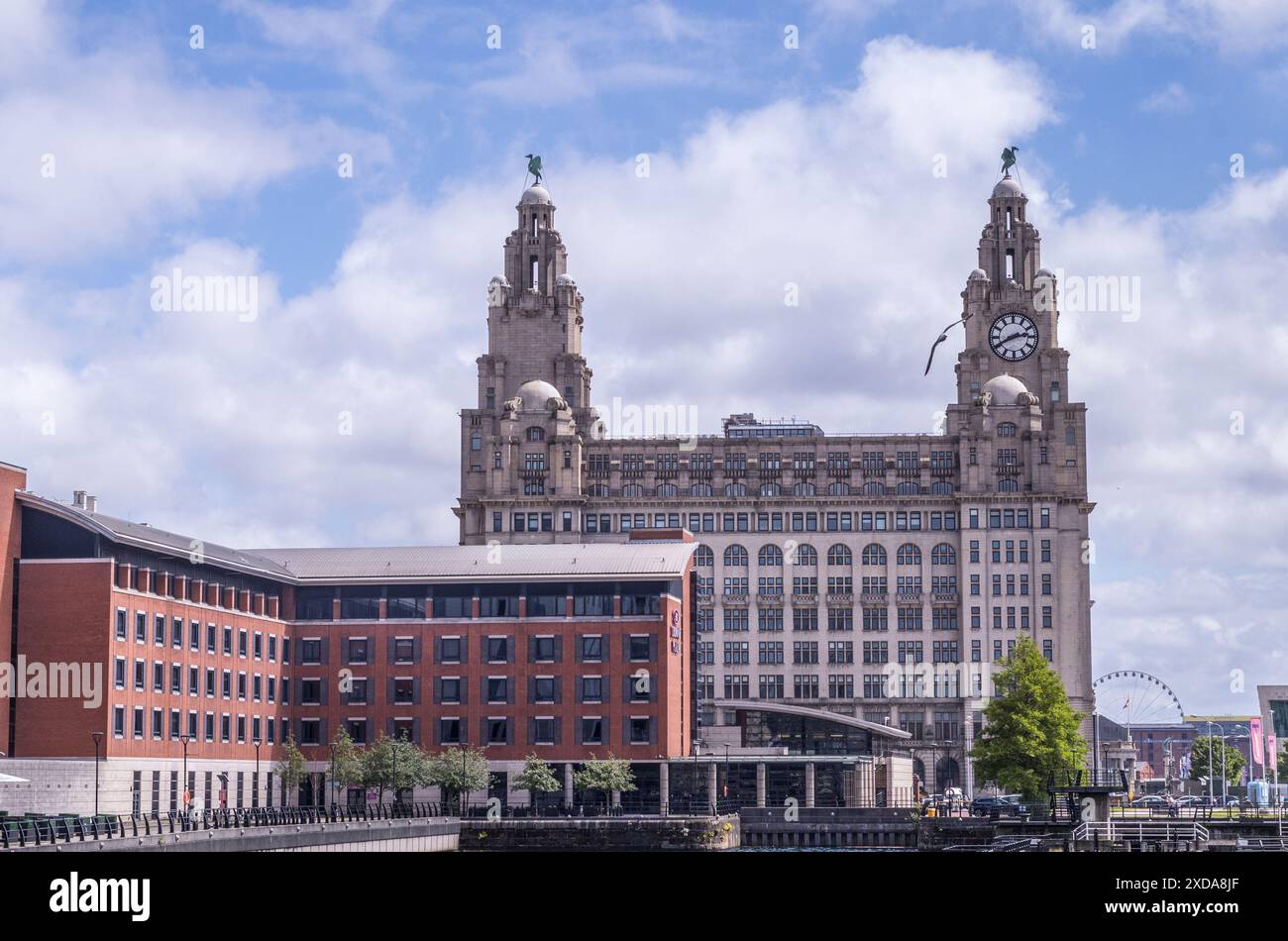 Das berühmte Lebergebäude vor dem Mersey River und Docks in Liverpool. Stockfoto