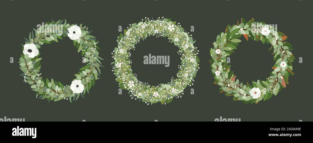 Set von Hochzeitskränzen mit Magnolie, Eukalyptus, Bucht, Salalblättern und Anemone, gypsophila-Blüten. Handgezeichnete Vektorgrafik Stock Vektor