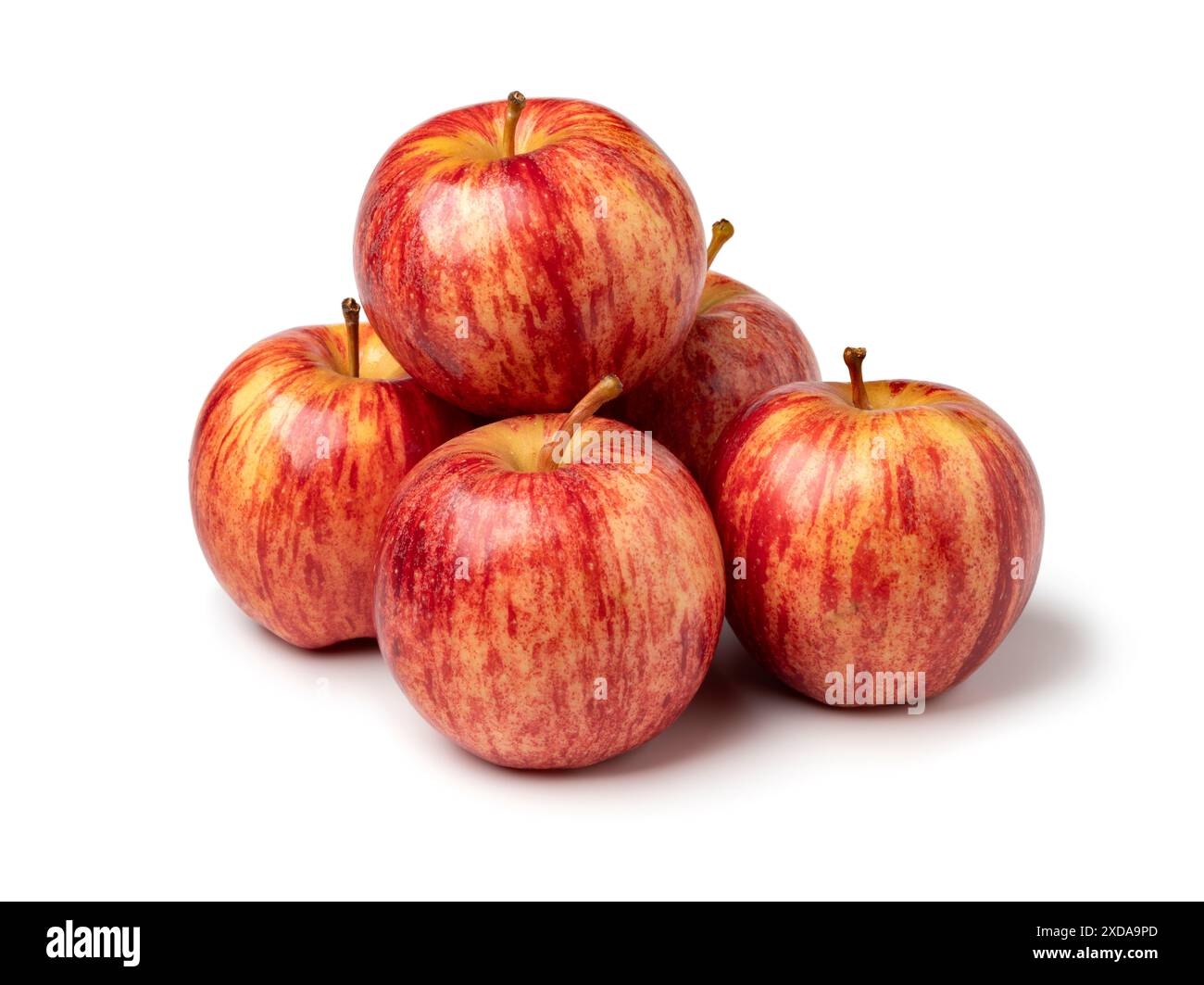 Ein Haufen reifer königlicher Gala-Apfel, isoliert auf weißem Hintergrund Stockfoto