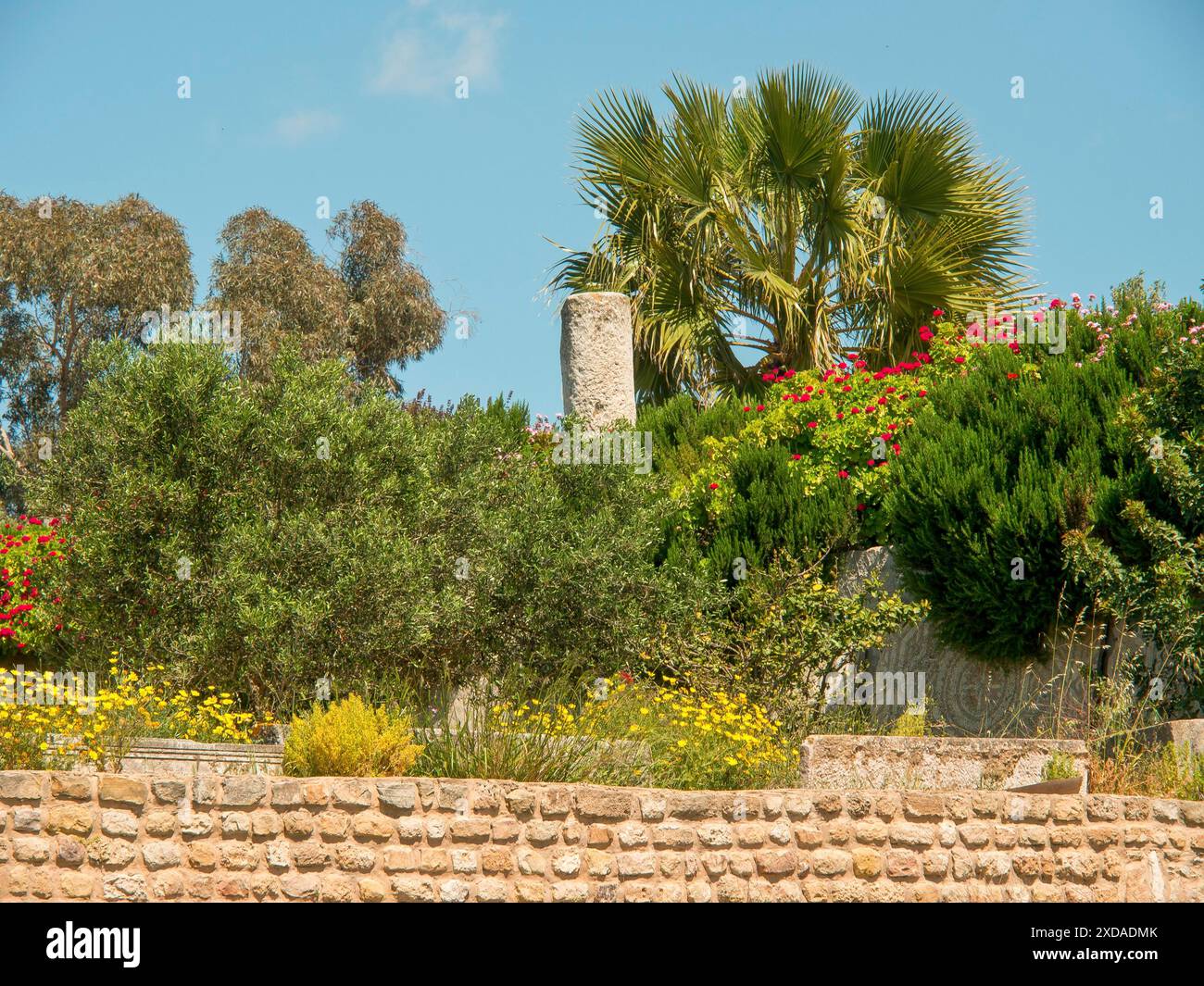 Eine malerische Szene mit grünen Büschen, Palmen und Steinmauern unter sonnigem Himmel, Tunis, Tunesien Stockfoto