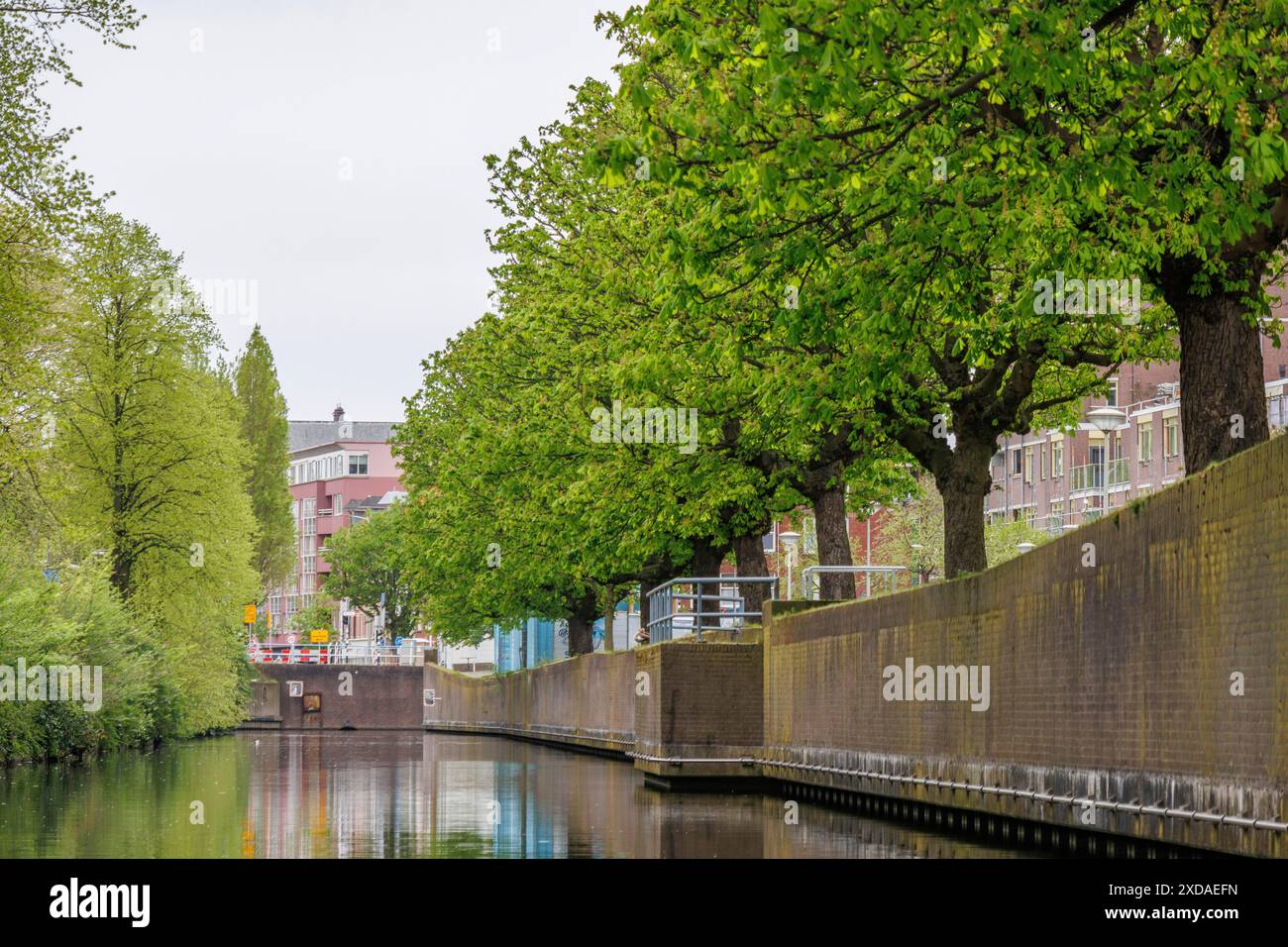 Bewaldete Flusslandschaft entlang eines Kanals mit Blick auf Backsteinhäuser, den haag, niederlande Stockfoto