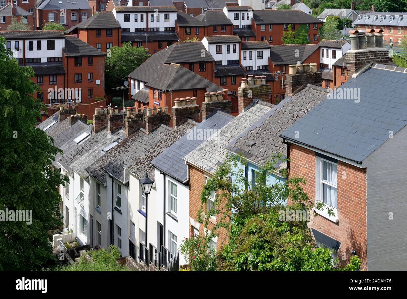 Napier Terrace, Exeter, England, Großbritannien Stockfoto