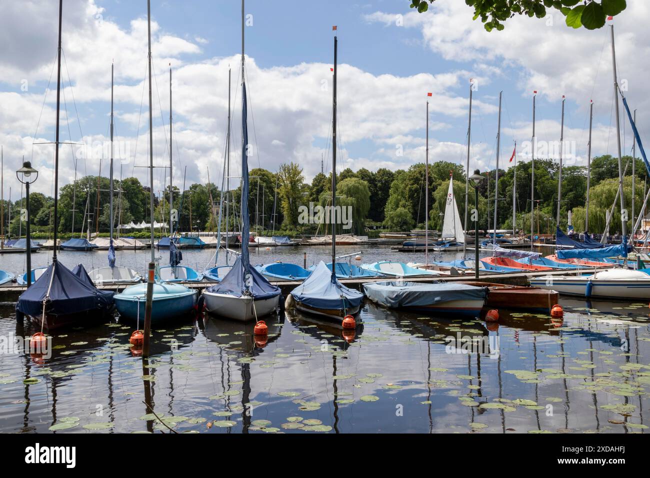 Segelboote im Jachthafen der Segelgemeinschaft Hamburg e.V. vor blauem Himmel im Sommer auf der Alster, Hamburg Stockfoto