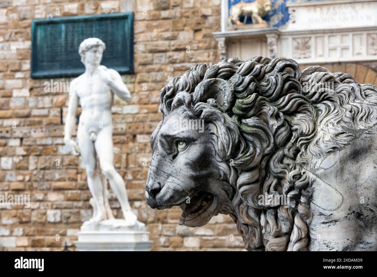 Löwenstatue in der Loggia Dei Lanzi vor dem Palazzo Vecchio von Florenz und David-Statue in Florenz, Italien. Architektur und Wahrzeichen von Florenz, Stockfoto
