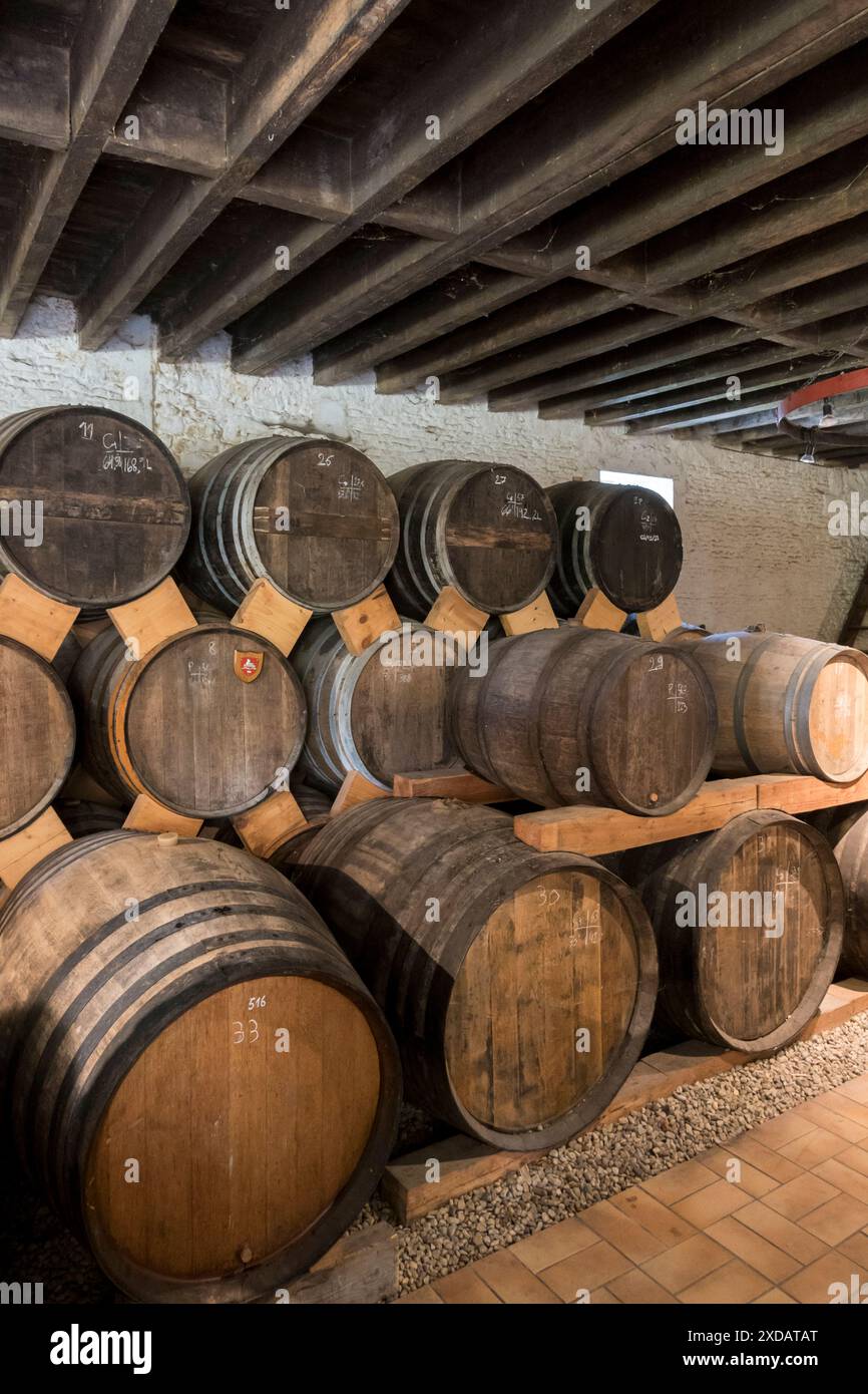 Frankreich, Normandie, Region Calvados, Val es Dunes, Valambray. Domaine des 5 autels - Bio-Apfelwein-Hersteller. Eichenfässer aus Calvados-Apfelbrand-Reifung. Stockfoto