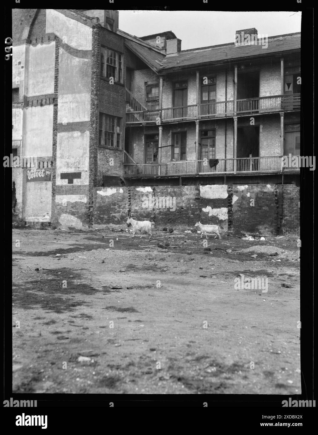 Sklavenquartier, New Orleans. Genthe Fotosammlung. Stockfoto