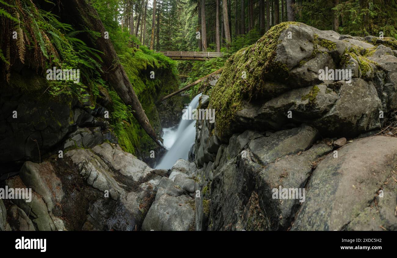 Panorama Mit Blick Auf Die Sol Duc Falls Im Olympic National Park Stockfoto