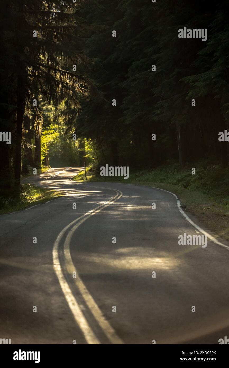 Die Straße führt durch die Gegend um Sol Duc im Oympic-Nationalpark Stockfoto