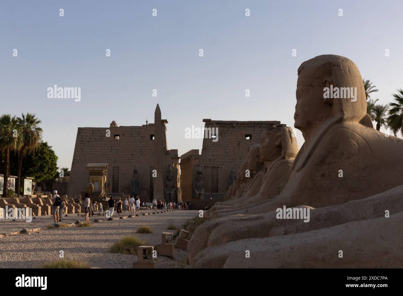 In der Abenddämmerung ist der Luxor Tempel am Ende der Avenue of Sphinxes oder die King's Festivities Road, auch bekannt als Rams Road, am Ostufer des Nils in Ägypten zu sehen. Stockfoto