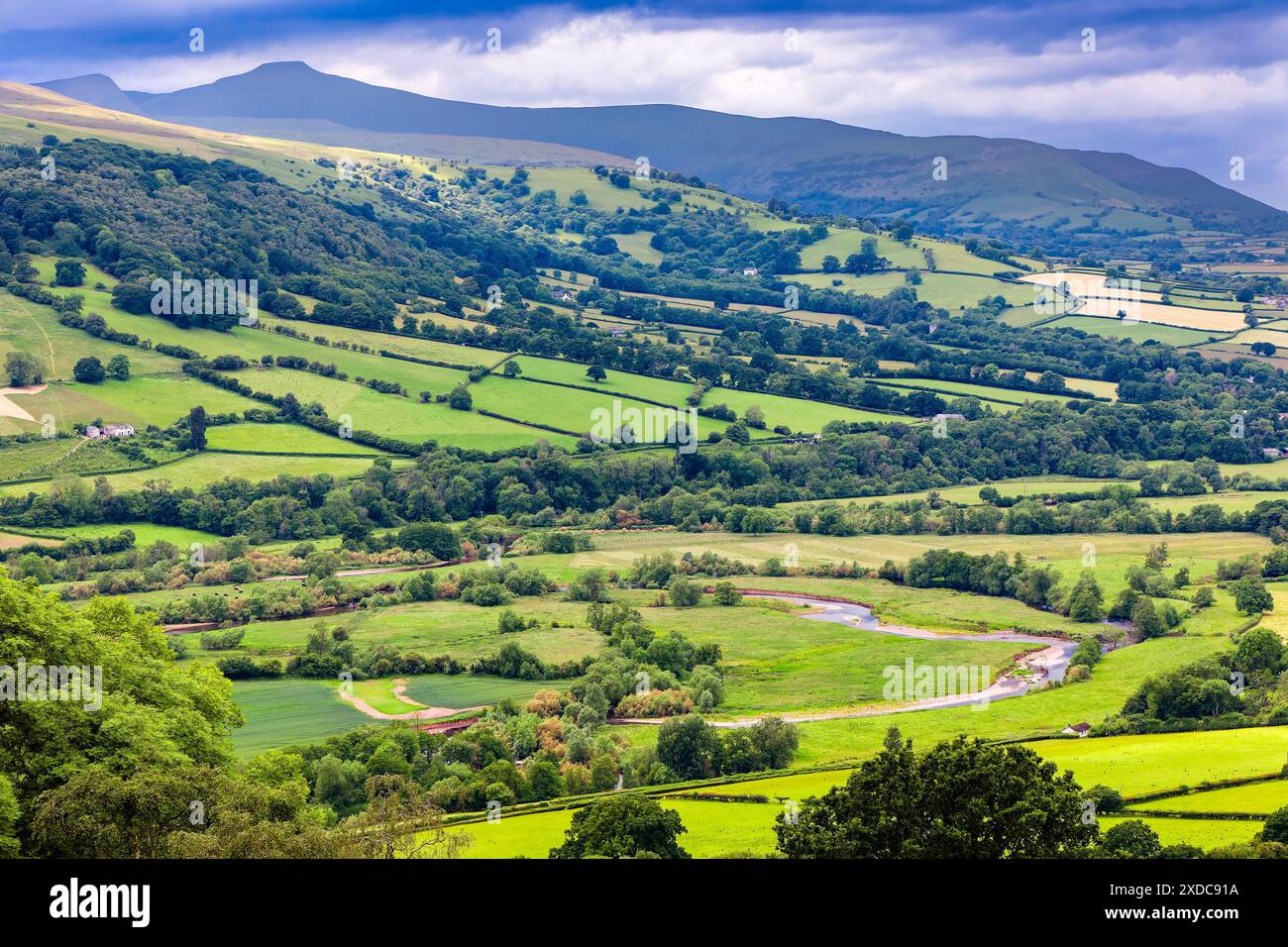 Landwirtschaftliche Nutzflächen und Hügel im ländlichen Mid Wales Stockfoto