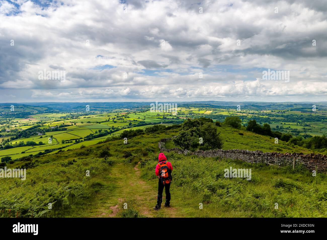 Wanderer auf einem Hügel mit Blick auf üppiges Ackerland in Mid Wales Stockfoto