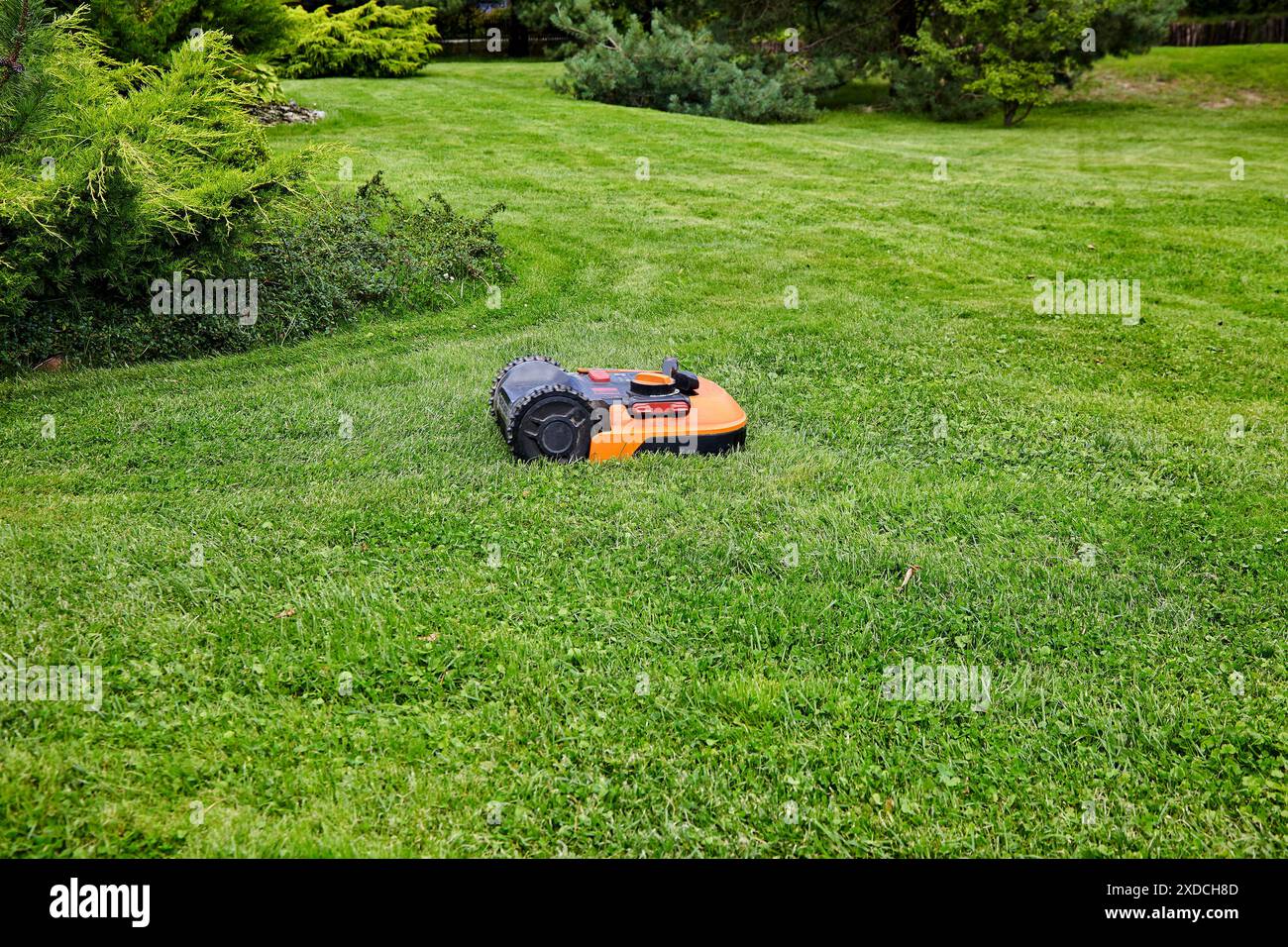 Ein orangener Rasenmäher-Roboter mäht das Gras auf dem grünen Rasen des Parks Stockfoto
