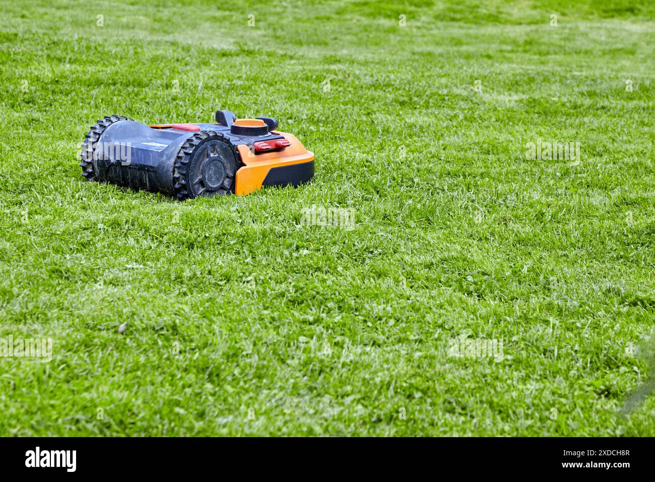 Automatischer orangefarbener Mähroboter auf sonnigem grünen Rasen im Park. Stockfoto