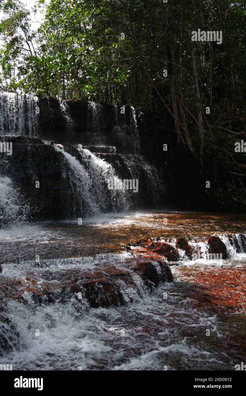 Wasserfall des Jasper Creek, Quebrada de Jaspe, mit rotem jaspis Edelstein Flussbett, Gran Sabana, Venezuela Stockfoto