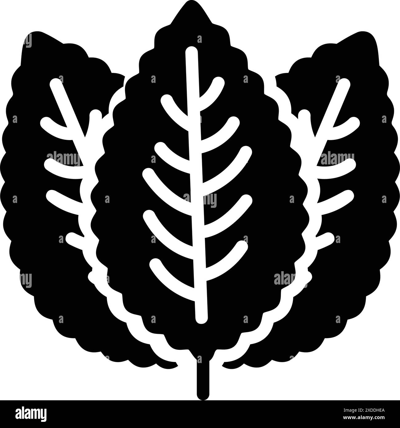 Symbol für Pfefferminze, Pfefferminze Stock Vektor