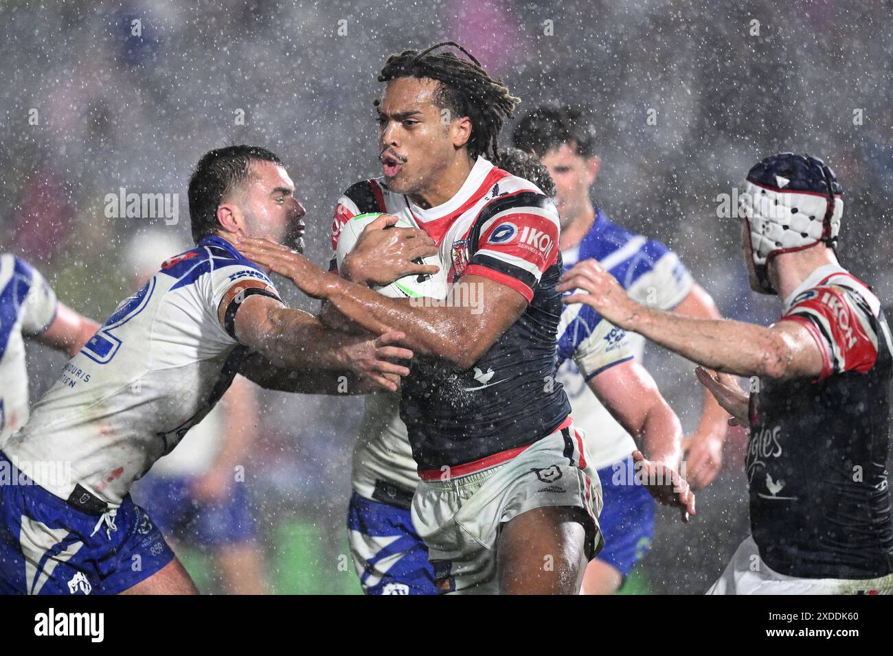 Gosford, Australien. Juni 2024. Dominic Young of the Roosters wird im Industree Group Stadium in Gosford am Samstag, den 22. Juni 2024 im NRL Round 16-Spiel zwischen den Sydney Roosters und den Canterbury-Bankstown Bulldogs von Jaeman Salmon von den Bulldogs angegriffen. (AAP Image/Dan Himbrechts) KEINE ARCHIVIERUNG, NUR REDAKTIONELLE VERWENDUNG Credit: Australian Associated Press/Alamy Live News Stockfoto