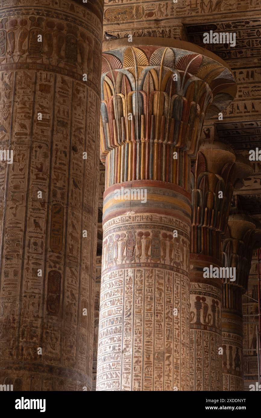 Eine kürzlich restaurierte Säule im Tempel von Khnum, Esna, Ägypten, zeigt die reichen Farben und detaillierten Kunstwerke, die jahrhundertelang verborgen lagen. Stockfoto