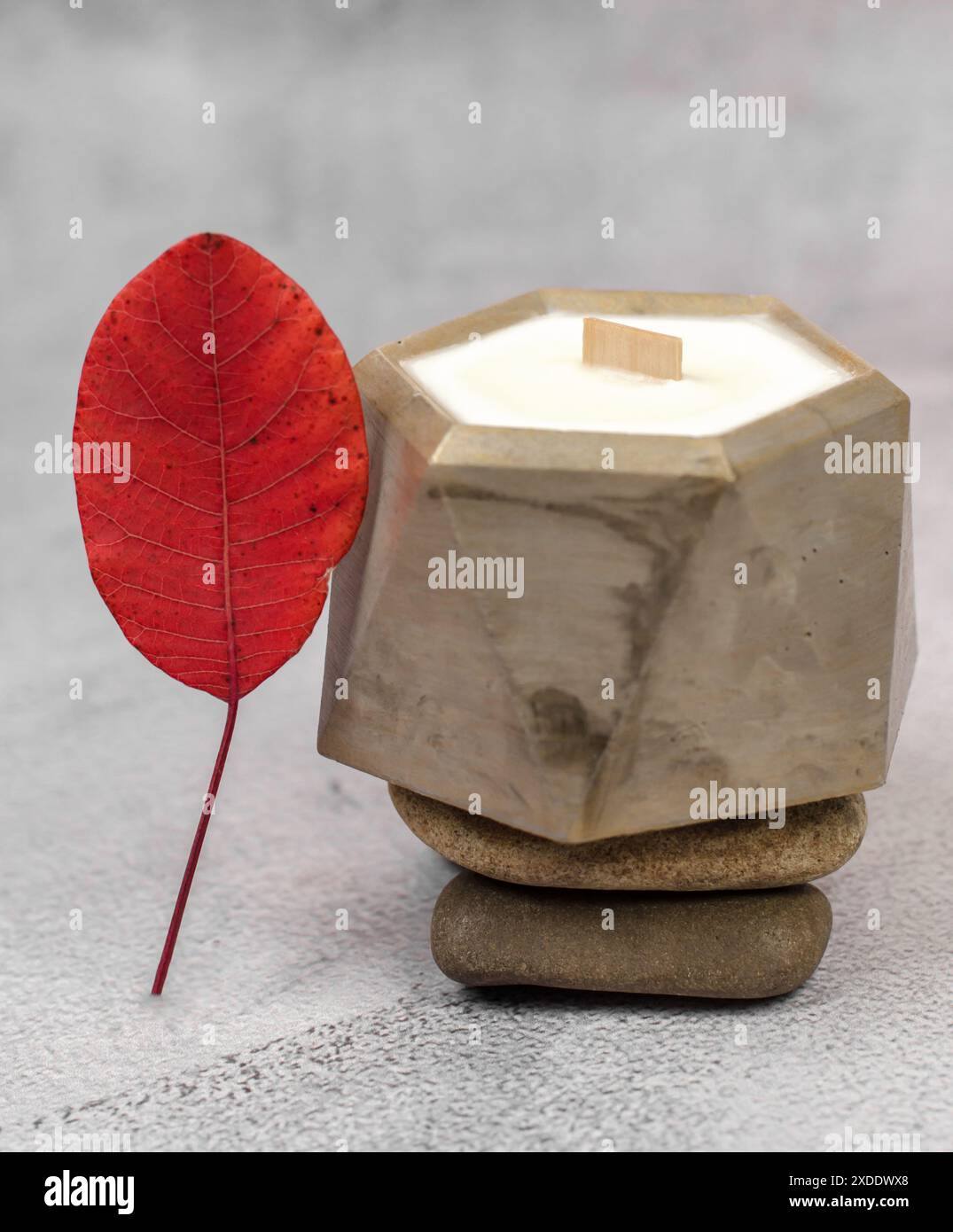 Dekorative Kerze mit Holzdocht im goldenen Topf auf Natursteinpodium, minimale Zusammensetzung Stockfoto