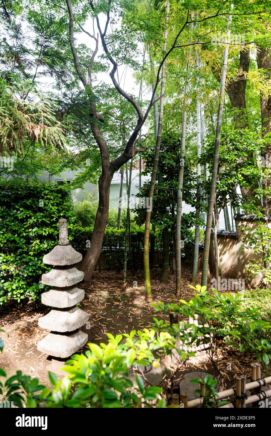 Der Garten der Hayashi Fumiko Memorial Hall, das Haus, in dem der japanische Schriftsteller in Nakai, Shinjuku Bezirk, Tokio, Japan lebte Stockfoto