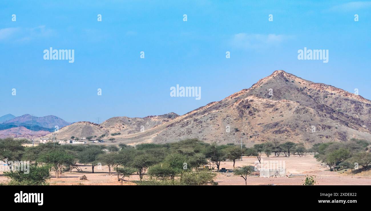 Medina, Saudi-Arabien - 22. Dezember 2022: Trockene Wüstenlandschaft mit sanften Hügeln unter klarem blauem Himmel. Stockfoto