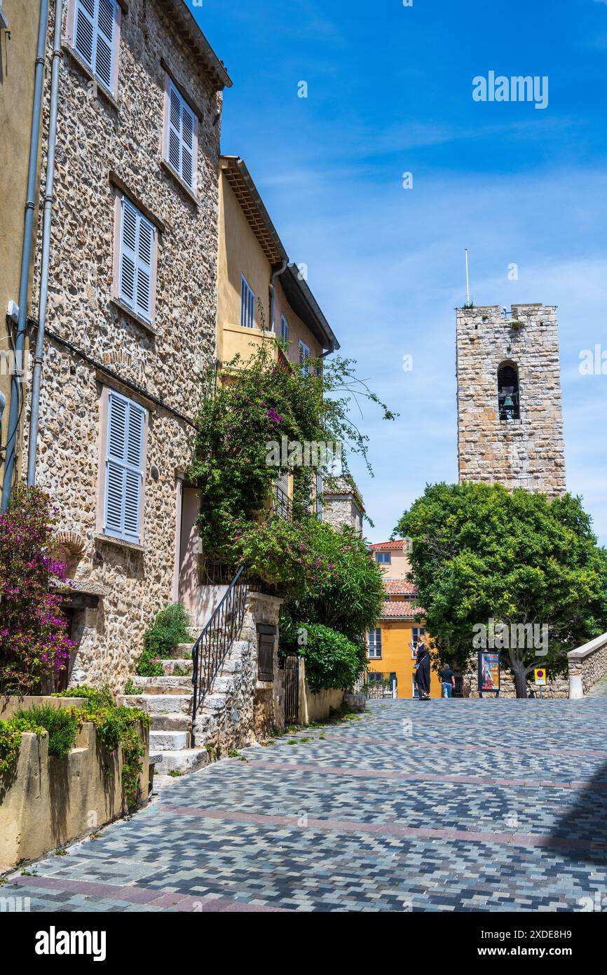 Rue du Bateau, mit dem Glockenturm der Kathedrale dahinter, in der Altstadt von Antibes (Vieil Antibes) an der französischen Riviera, Côte d'Azur, Provence, Frankreich Stockfoto